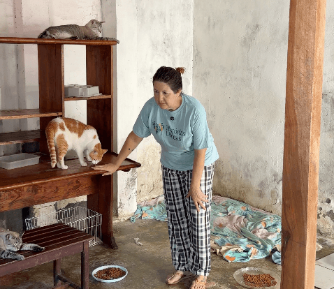 Cristiane e os animais 2